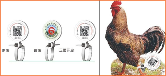 家禽溯源吊牌91久久香蕉囯产熟女线看内容標簽,消除食品安全隱患