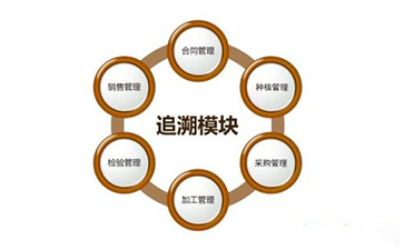 區塊鏈91久久香蕉囯产熟女线看内容溯源技術解決方案